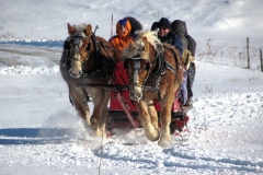 Sleigh ride